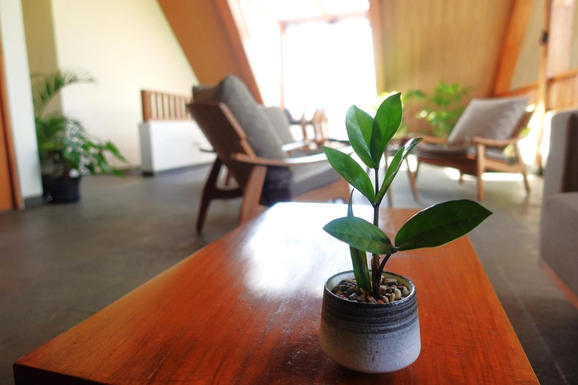 The Vinaya Boutique Hotel Ubud Zewnętrze zdjęcie